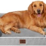 A comfortable choice for senior dogs — Orthopedic Memory Foam Dog Bed with Bolsters, Waterproof Lining, Non-slip Base, Removable Washable Cover (Large, Grey)