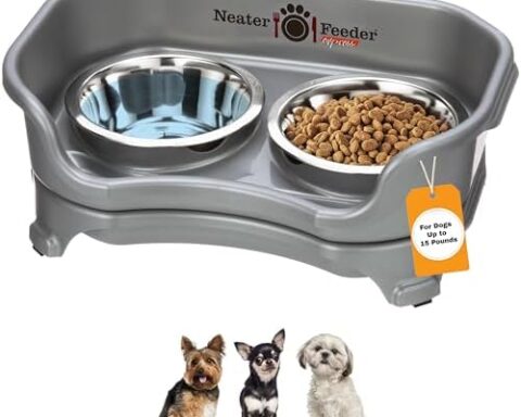 A smart pick for small dogs — Neater Feeder Express mess-proof elevated feeding station with two 1.5‑cup stainless bowls, Grey (for breeds under 15 lb)
