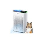 best air purifier for large rooms