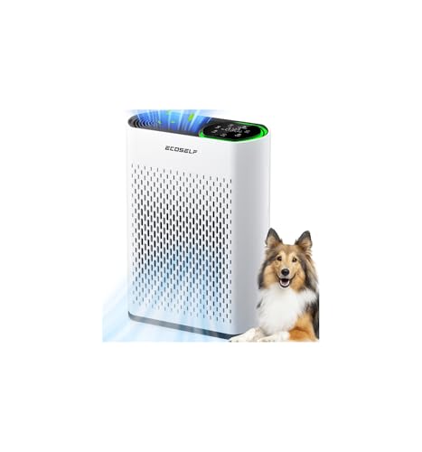 best air purifier for large rooms