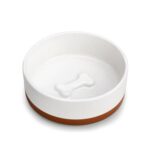 best ceramic bowl for small dogs and cats