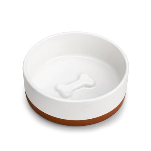 best ceramic bowl for small dogs and cats