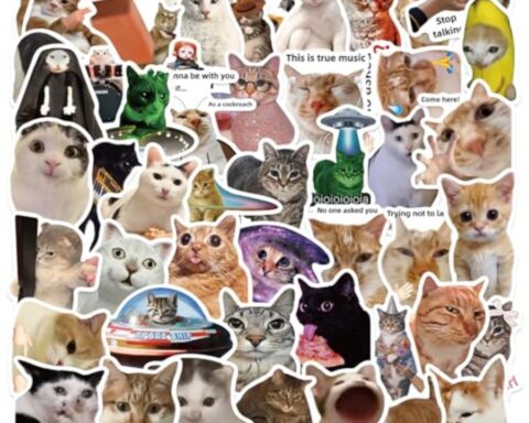best waterproof vinyl stickers for water bottles and laptops