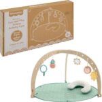 best newborn activity gym for tummy time