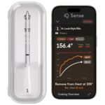 best wireless meat thermometer for smoking meat