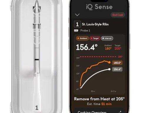 best wireless meat thermometer for smoking meat