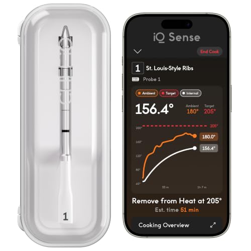 best wireless meat thermometer for smoking meat