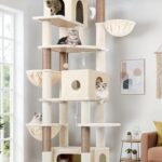 best cat tree for multiple cats