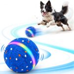 best interactive dog toy for energetic dogs