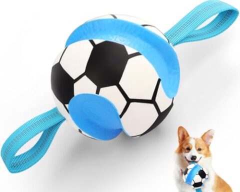 best interactive dog toy for fetch and tug of war