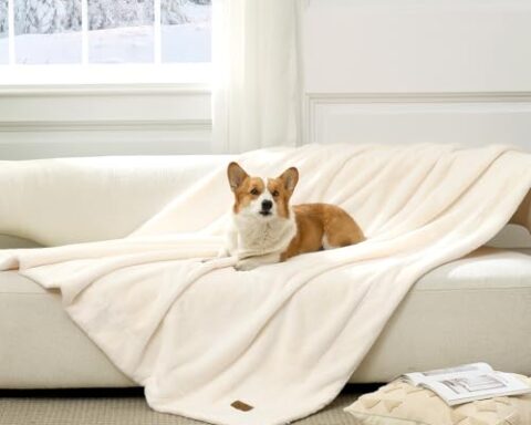best waterproof blanket for pets